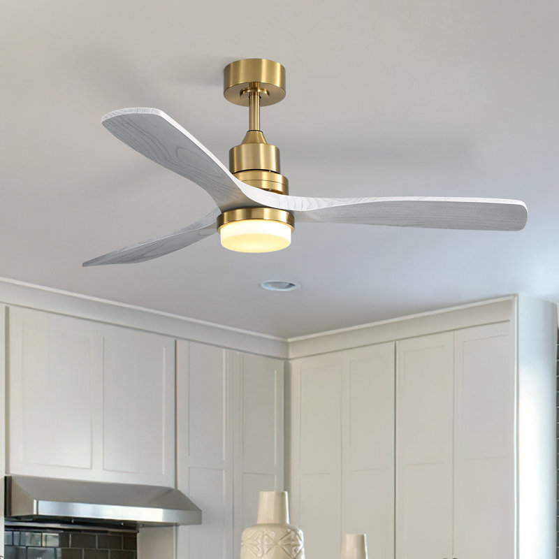 Nicola 52'' 3 - Blade Modern Ceiling Fan with Remote Control and Light Kit, Gold/Light Gray Blades