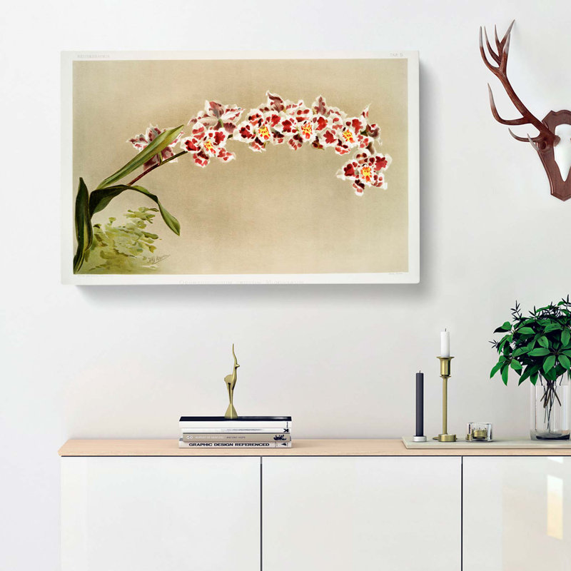 Magnolia Flowers Illustration Tab. 5 by Frederick Sander - Wrapped Canvas Art - Wrapped Canvas, 40cm H x 60cm W x 3cm D