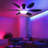 Cliffes 51" Flush Mount Ceiling Fan And Remote Control,Quiet DC Dimmable 6 Blades-115664297