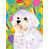 Bichon maltais (beige et mauve)