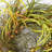 Handcrafted Faux Silk 26'' Wreath