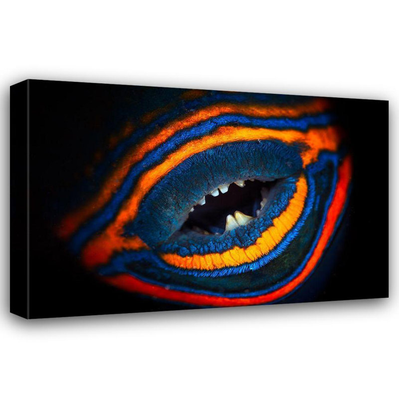 Art sur toile tendue par Red Barrel Studio® Gabriel, Barathieu, orange, doublé, H 17 po x l 24 po