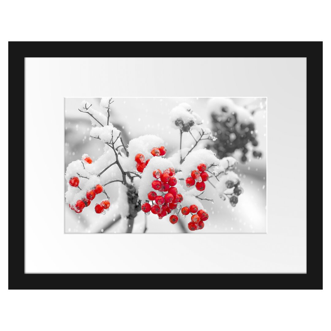 Gerahmtes Poster Rote Vogelbeeren im Winter