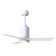 Patricia LED Ceiling Fan