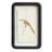 6‑Piece Wood Framed Wall Décor with Floating Bird Art in Distressed Finish