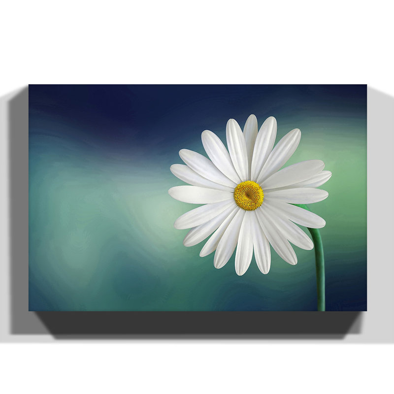 Wrapped Canvas Print, 35cm H x 50cm W