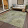 Machine Washable Indoor/Outdoor Leavittsburg ACN2235 Floral Rug