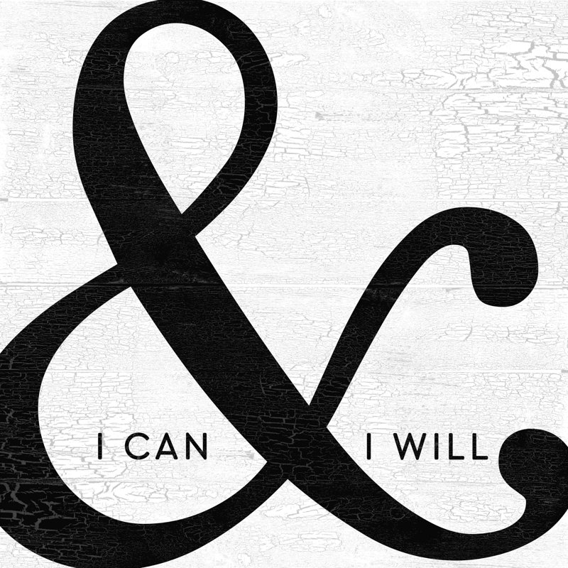 " Ampersand Can Will ", 30" H x 30" W
