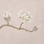 Papier peint arbre Magnolia-103897650