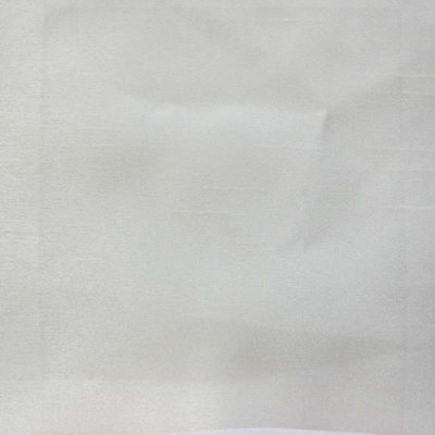 Faux Silk | Caprice Fabric_CAPRICE