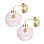 Frenchie Wallchiere
