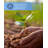 Restonic Comfortcare Dreamlux Firm, Queen-1712055106