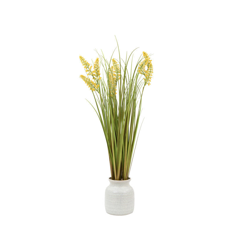 Potted Grass with Yellow Wildflower