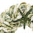 Coastal Seashell Wreath - 17"