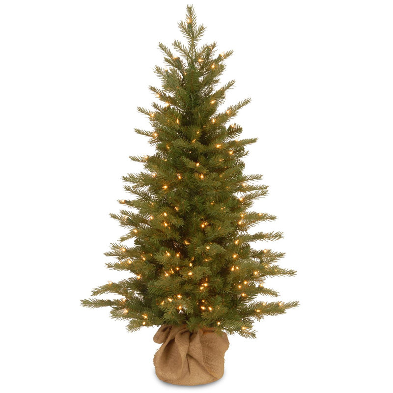Nordic Spruce Tree with Clear Lights, 4'