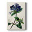 AntiqueFloralFolioIV - galerie Cavas sur mesure-1235331503