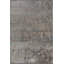 Rapture Abstract Area Rug in Gray/Orange-68901039