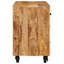 Rectangle Accent Chest