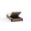 Lemoore Chaise Lounge-584715207