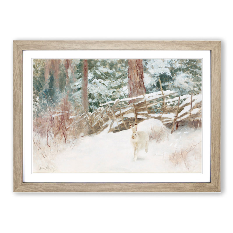 White Hare Vol.7 by Bruno Liljefors - Picture Frame Painting, 36cm H x 48cm W x 2cm D, Oak