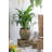 S/2 Iron Flower Pot L:13x13x14.5'' S:11x11x13.5''