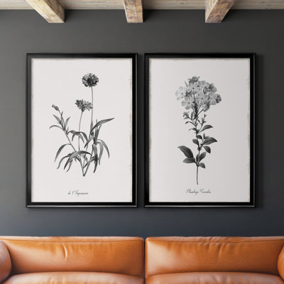 " Simply Imperial " 2 - Pieces