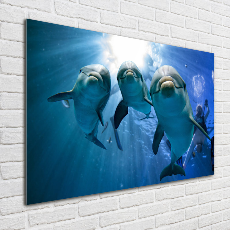 Glass Print Wall Art 100X70cm Image Printed On Glass Decorative Wall Picture Behind Toughened / Tempered Safety Real Glass For Kitchen & Living Room Theme:Three Dolphins