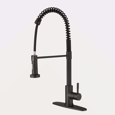Kitchen Faucet With Pull Out Spraye