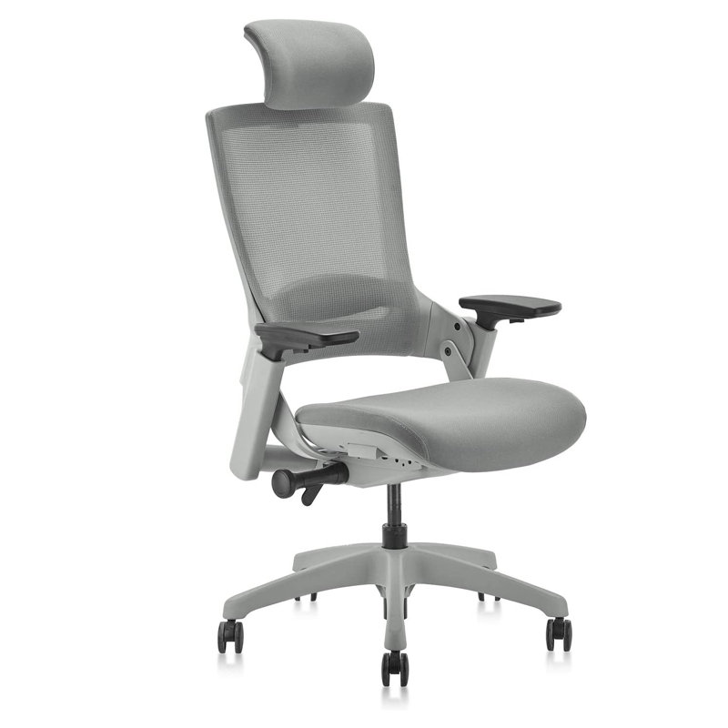 Djenkely Executive Chair with Headrest, Gray, Gray