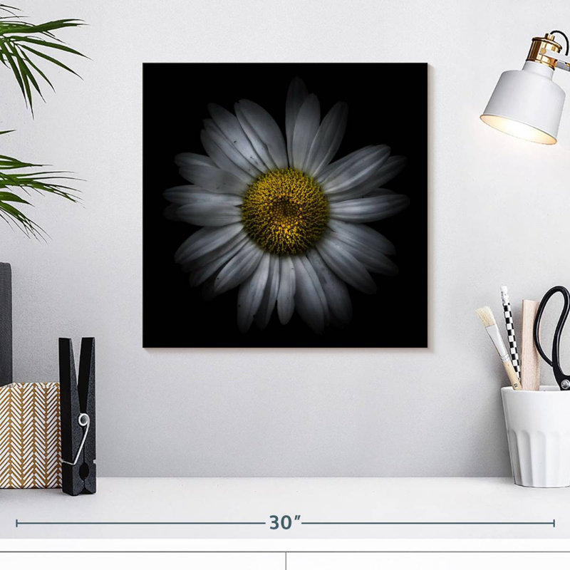 Fleurs Harnek Backyard, H 16 po x l 16 po
