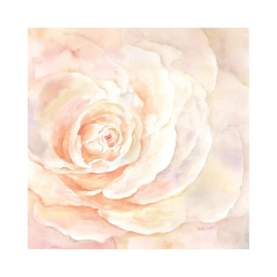 Blush Rose Closeup I by Cynthia Coulter - Wrapped Canvas Print