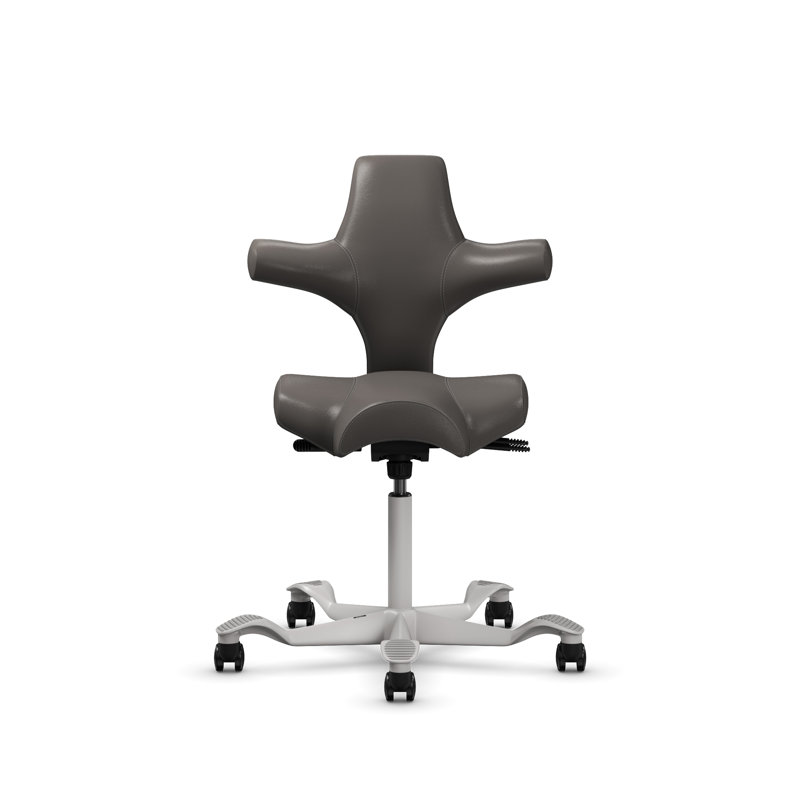 Fauteuil réglable en position assise / debout HœG Capisco, Sit-to-Stand, Argent argent, Gris cendré