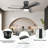 Chrisel Ceiling Fan with Light Kit