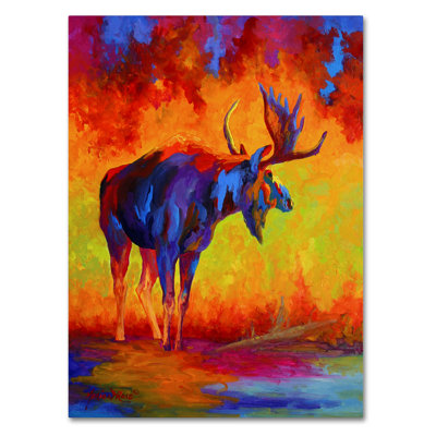 Kucera 'Moose 5' Print on Wrapped Canvas