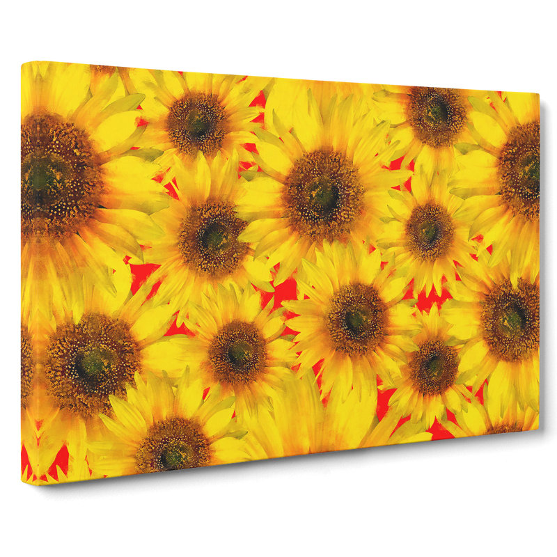 Wall Of Yellow Sunflowers - Wrapped Canvas Painting, 35cm H x 50cm W x 3cm D