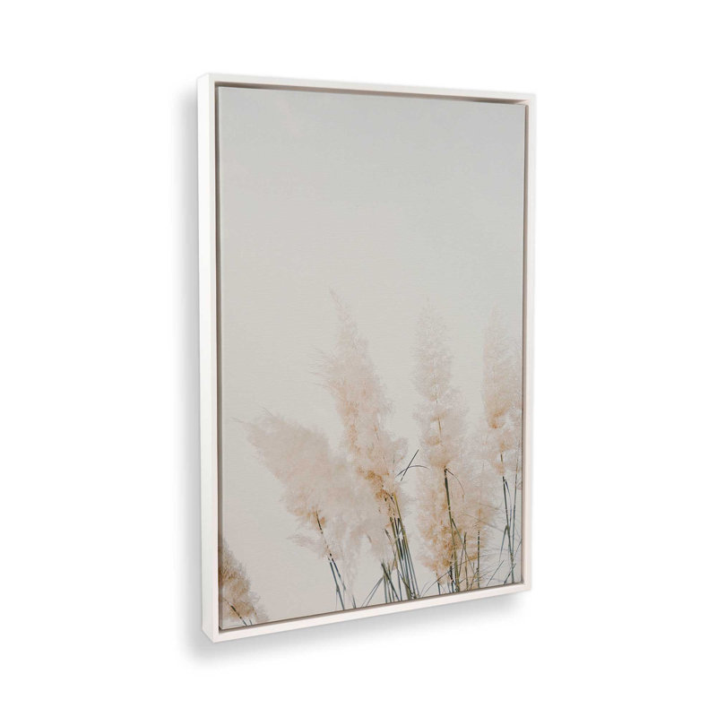 Impression sur toile Pampas Whisper, H 36,75 po x l 24,75 po x P 1,75 po, Cadre flottant blanc opaque