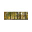Trees In Autumn, Hohenlohe, Baden-Wurttemberg, Germany by Panoramic Images - No Frame Panoramic Print on Canvas-2096579544