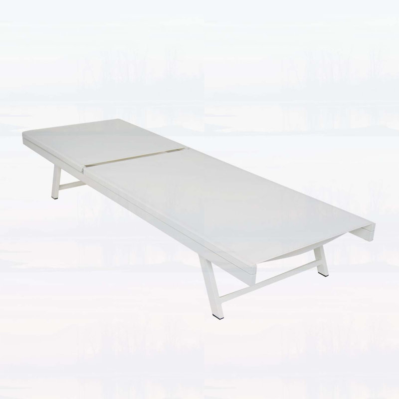 Chaise Lounge Set of 2 with 5-Position Adjustable Backrest,Durable Steel Frame,for Patio and Poolside Relaxation