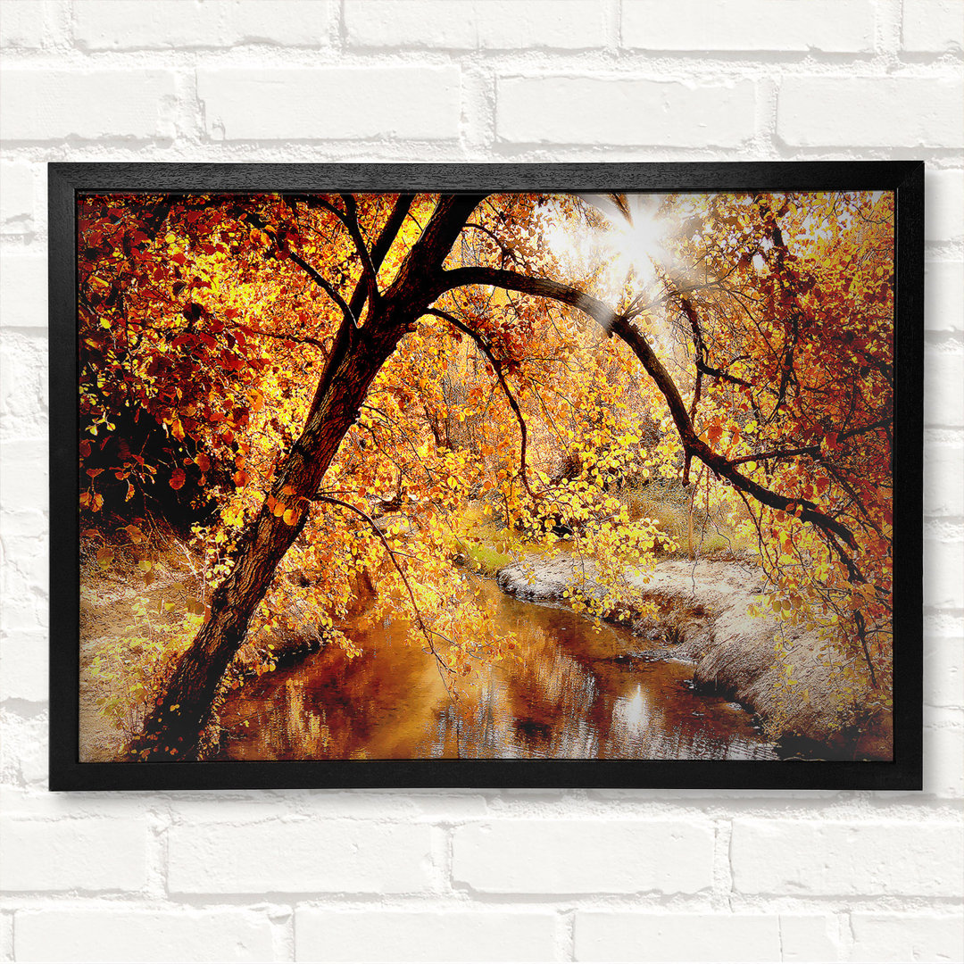 Creek In The Autumn Forest - Geschlossener Eckrahmen Kunstdrucke auf Holz