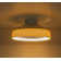 Jiren Dimmable Flush Mount LED Ceiling Fan with Remote Control