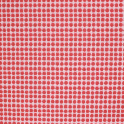 Suite Seeing Spots Fabric