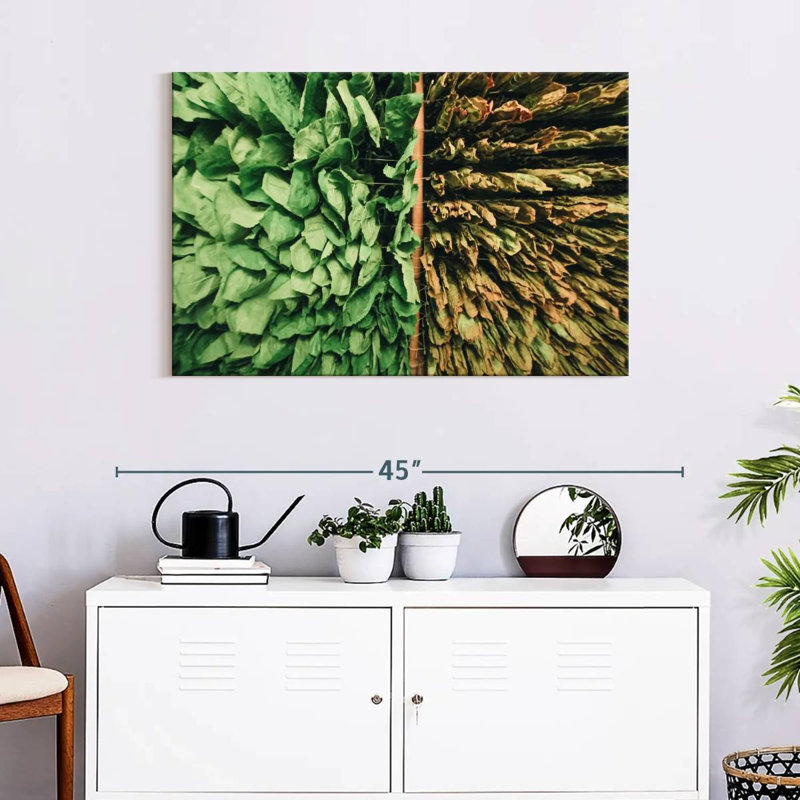 Harnek Tobacco Leaves, 24" H x 36" W