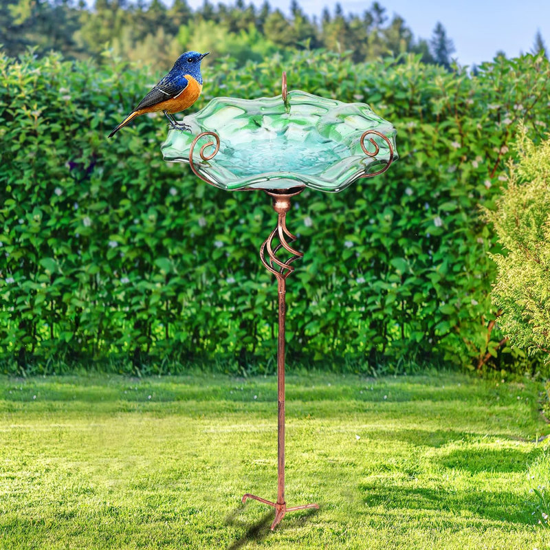 Bain d'oiseaux en verre Binnur, Vert, L 12,8 po x P 13,23 po