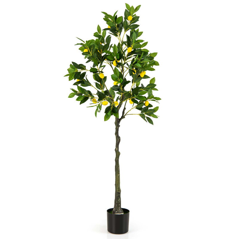 Faux citronnier 63 po en pot, 1