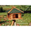 Asher Wood Freestanding Decorative Bird Feeder