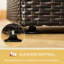 Lit pour chien: solide pour les chiens de petite et moyenne taille, auvent pliable, résistant aux animaux de compagnie, intérieur / extérieur