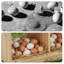 Boîte de nidification de poulet en bois robuste pour la volaille - 3 compartiments monocouche, assemblage facile, idéal pour les poules, les poules, les canards, les poulaillers et les fermes - monocouche 3 compartiments-692455303