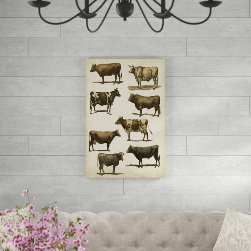 Antique Cow Chart - Painting on Canvas, 91cm H x 61cm W, Wrapped Canvas