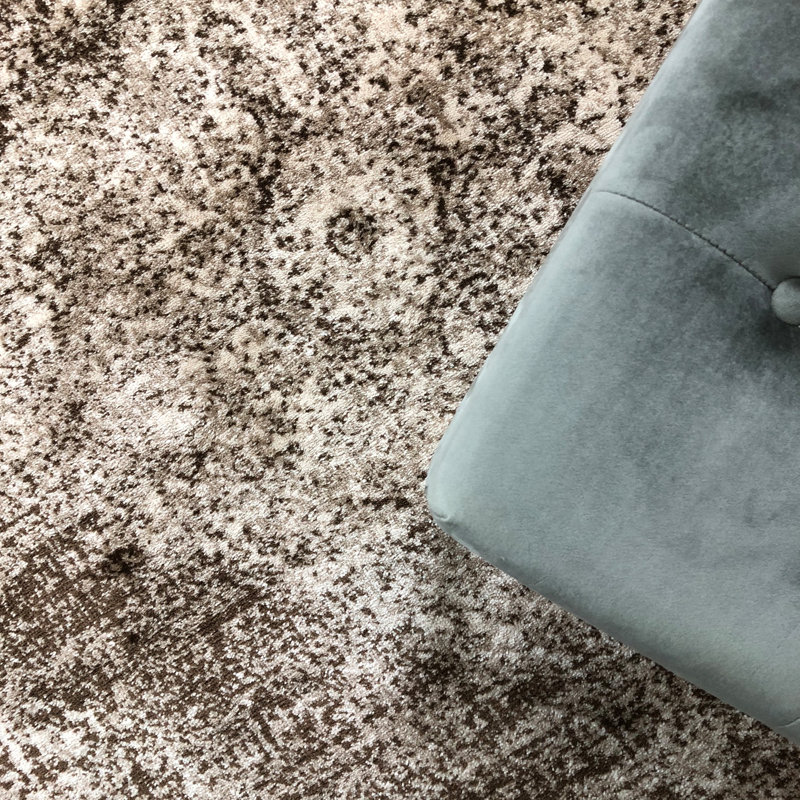 Tapis à motif oriental brun Wisser, Rectangle 4 pi x 6 pi