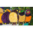 Fine Art Lighting Stained Glass Bird on Perch Suncatcher 